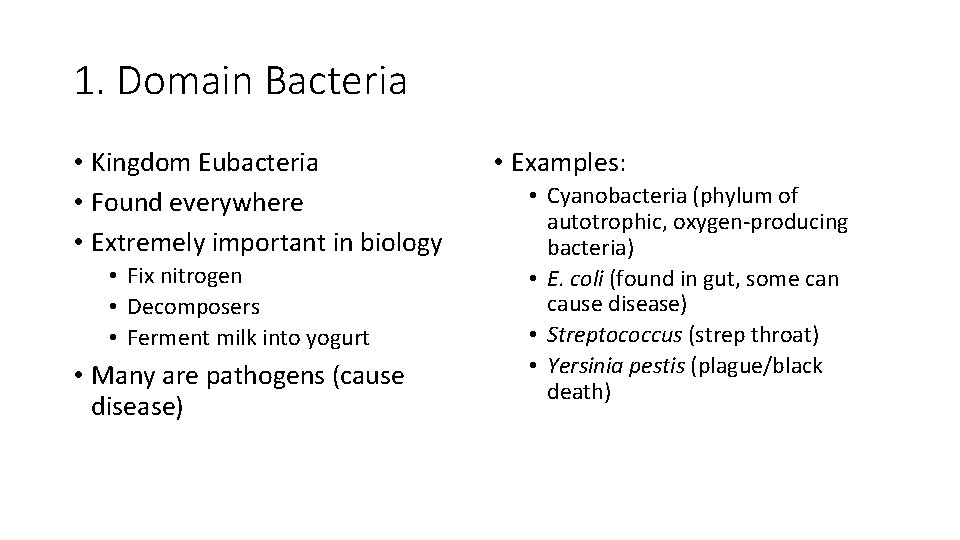 1. Domain Bacteria • Kingdom Eubacteria • Found everywhere • Extremely important in biology