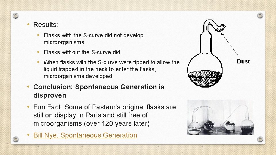  • Results: • Flasks with the S-curve did not develop microorganisms • Flasks