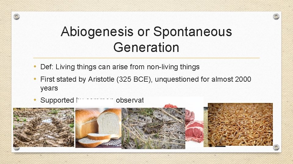 Abiogenesis or Spontaneous Generation • Def: Living things can arise from non-living things •