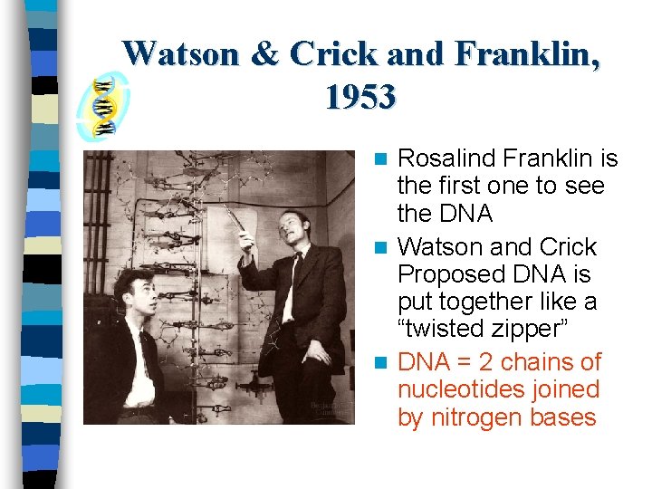 Watson & Crick and Franklin, 1953 Rosalind Franklin is the first one to see