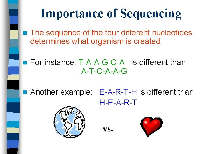 Importance of Sequencing n The sequence of the four different nucleotides determines what organism