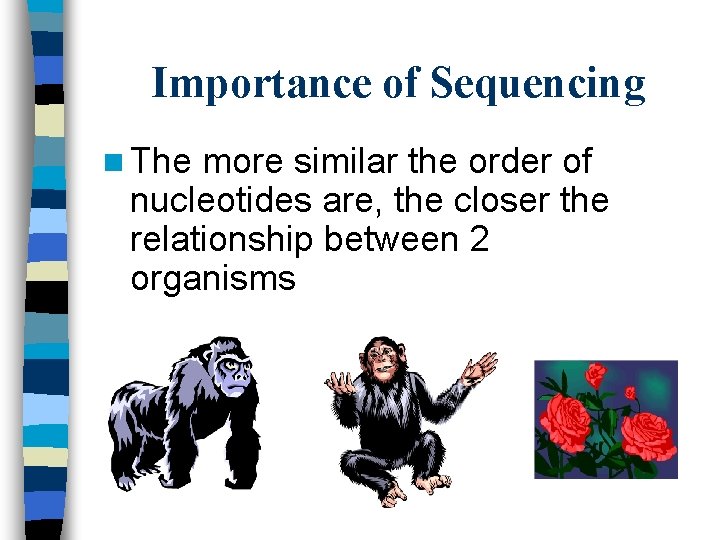 Importance of Sequencing n The more similar the order of nucleotides are, the closer
