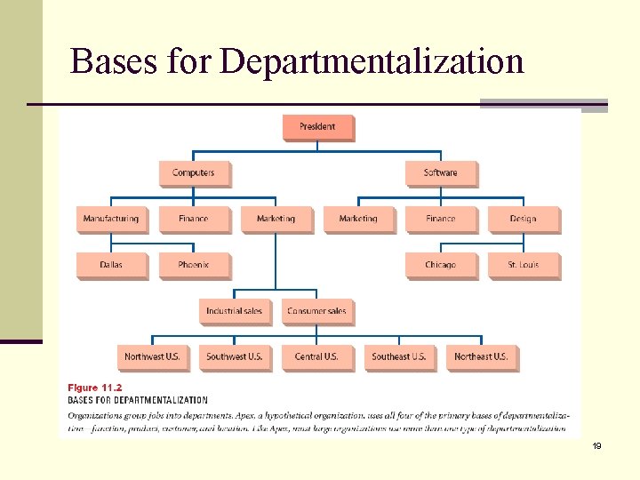 Bases for Departmentalization 19 