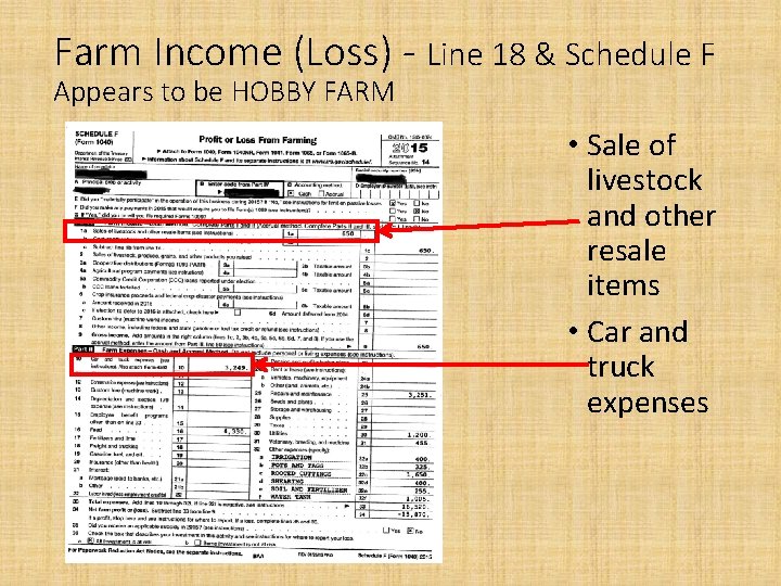 Farm Income (Loss) - Line 18 & Schedule F Appears to be HOBBY FARM