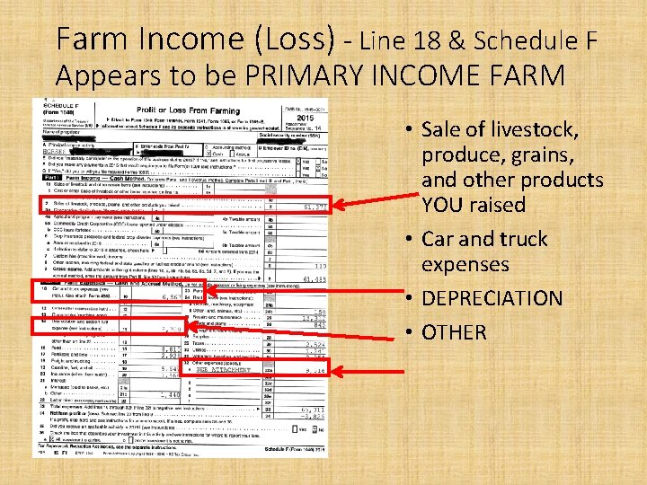 Farm Income (Loss) - Line 18 & Schedule F Appears to be PRIMARY INCOME