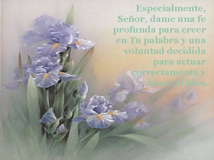 Especialmente, Señor, dame una fe profunda para creer en Tu palabra y una voluntad