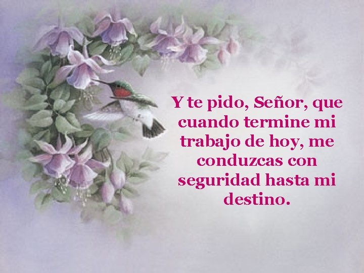 Y te pido, Señor, que cuando termine mi trabajo de hoy, me conduzcas con