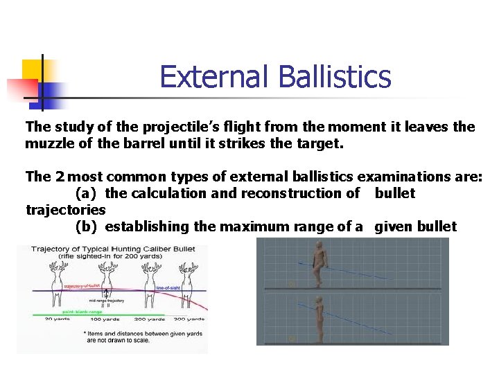 External Ballistics The study of the projectile’s flight from the moment it leaves the