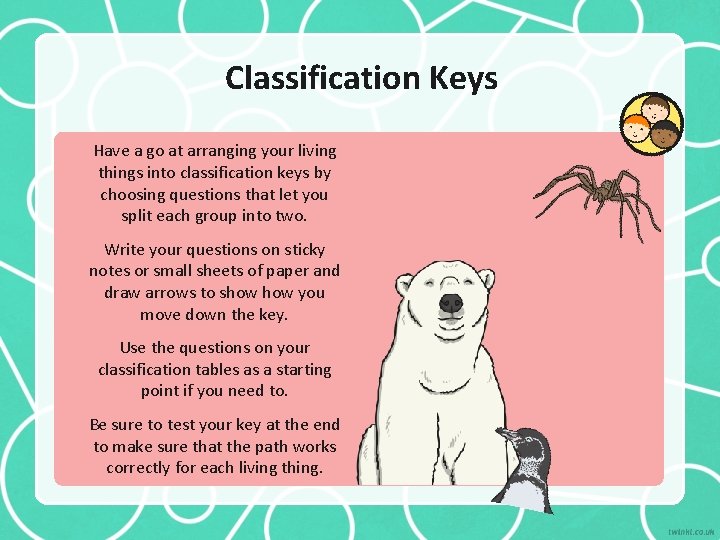Classification Keys Have a go at arranging your living things into classification keys by