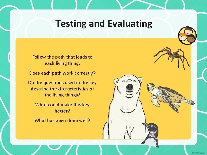 Testing and Evaluating Follow the path that leads to each living thing. Does each