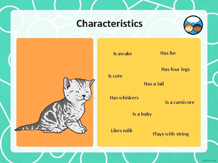 Characteristics Has fur Is awake Has four legs Is cute Has a tail Has