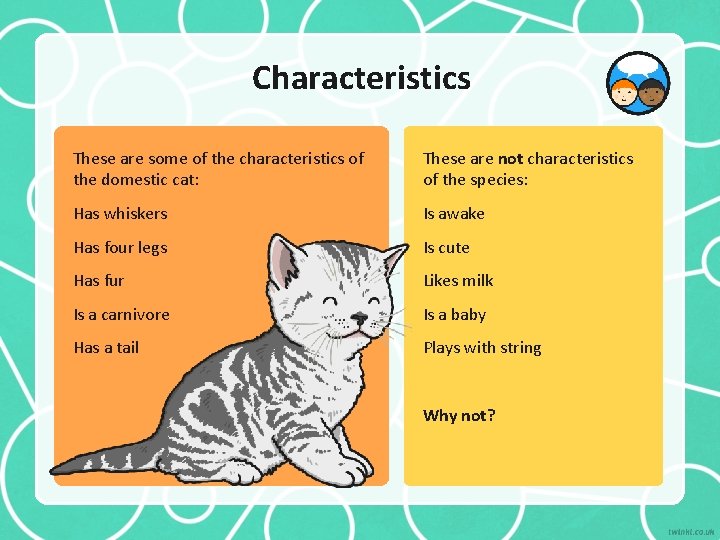 Characteristics These are some of the characteristics of the domestic cat: These are not