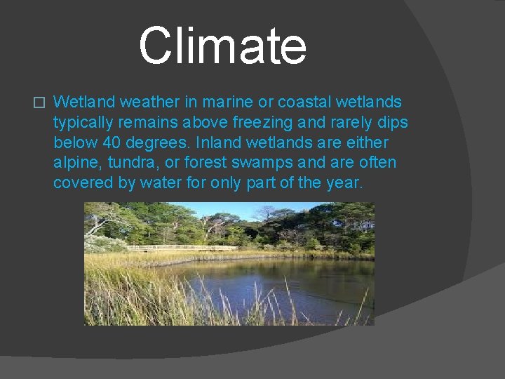 Climate � Wetland weather in marine or coastal wetlands typically remains above freezing and