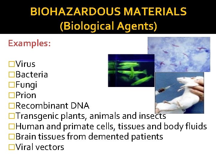 BIOHAZARDOUS MATERIALS (Biological Agents) Examples: �Virus �Bacteria �Fungi �Prion �Recombinant DNA �Transgenic plants, animals