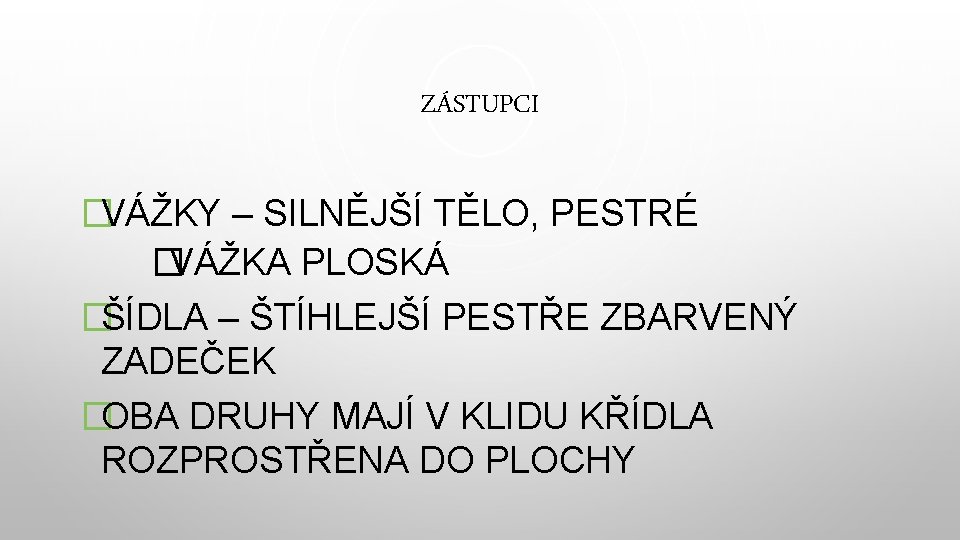 ZÁSTUPCI �VÁŽKY – SILNĚJŠÍ TĚLO, PESTRÉ �VÁŽKA PLOSKÁ �ŠÍDLA – ŠTÍHLEJŠÍ PESTŘE ZBARVENÝ ZADEČEK