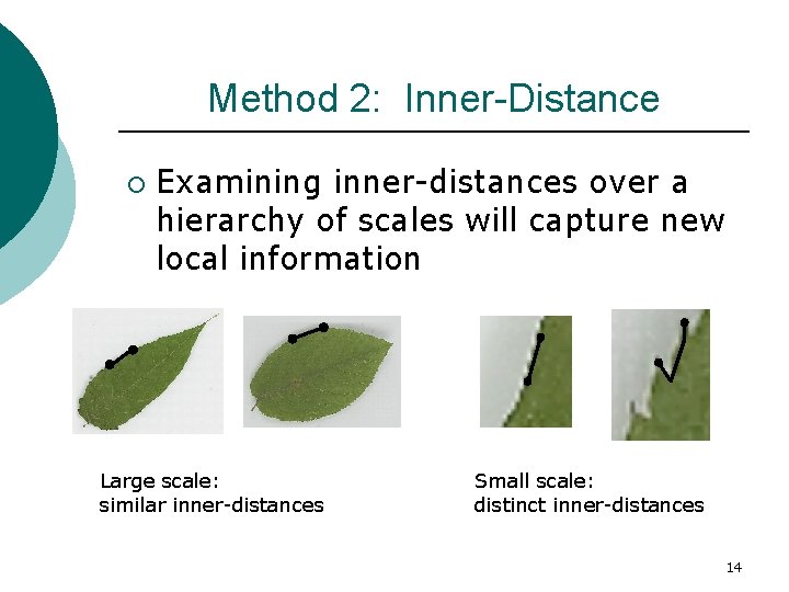 Method 2: Inner-Distance ¡ Examining inner-distances over a hierarchy of scales will capture new