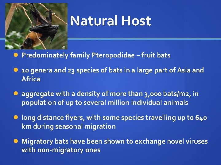 Natural Host Predominately family Pteropodidae – fruit bats 10 genera and 23 species of