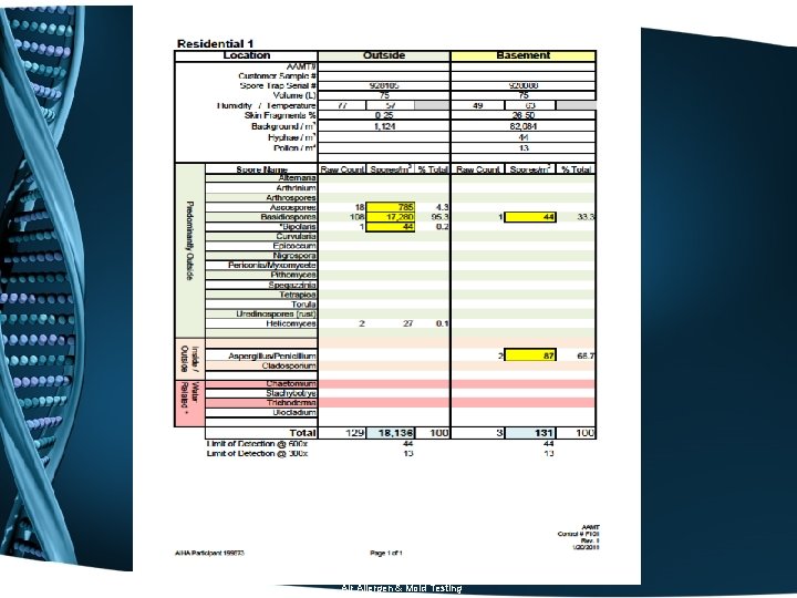 Air Allergen & Mold Testing 
