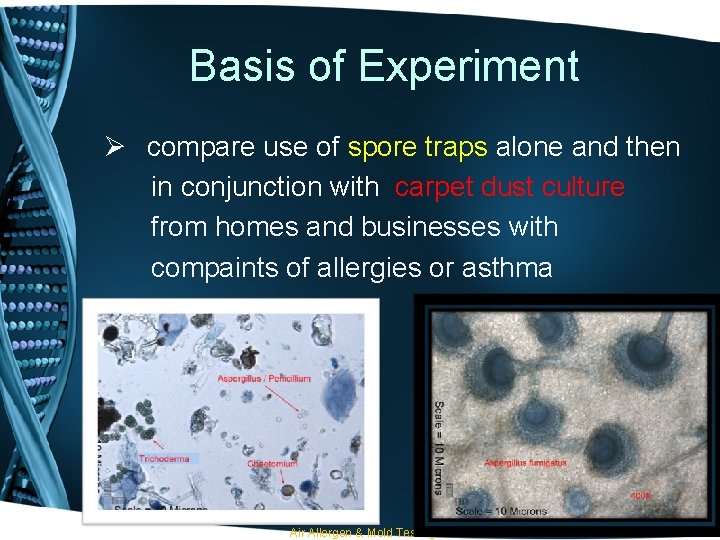 Basis of Experiment Ø compare use of spore traps alone and then in conjunction