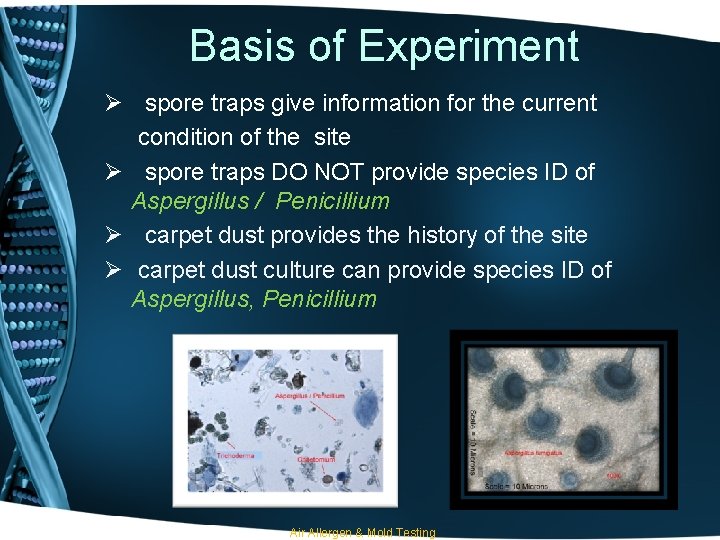 Basis of Experiment Ø spore traps give information for the current condition of the