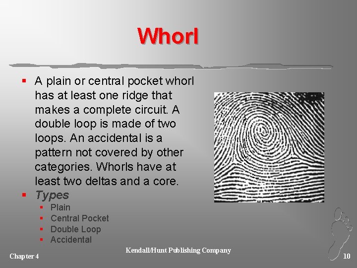 Whorl § A plain or central pocket whorl has at least one ridge that