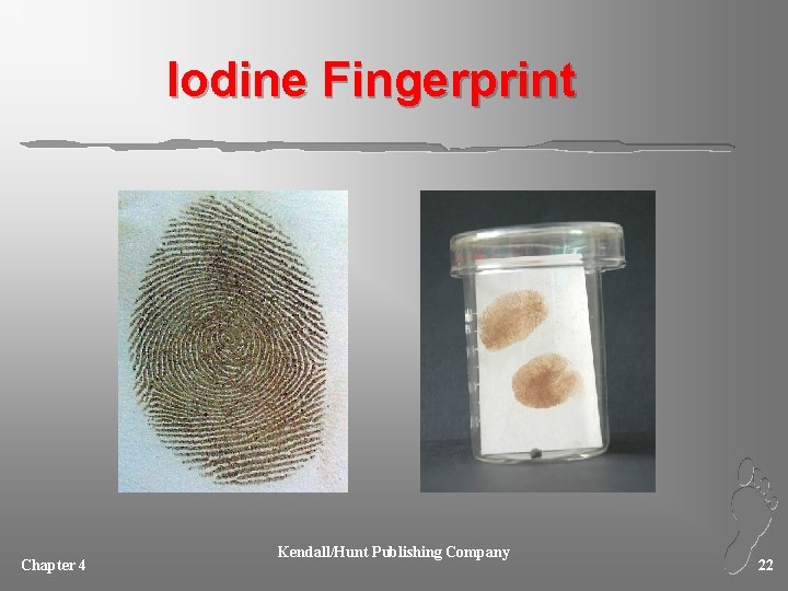 Iodine Fingerprint Chapter 4 Kendall/Hunt Publishing Company 22 