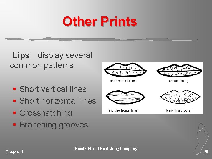 Other Prints Lips—display several common patterns § § Short vertical lines Short horizontal lines