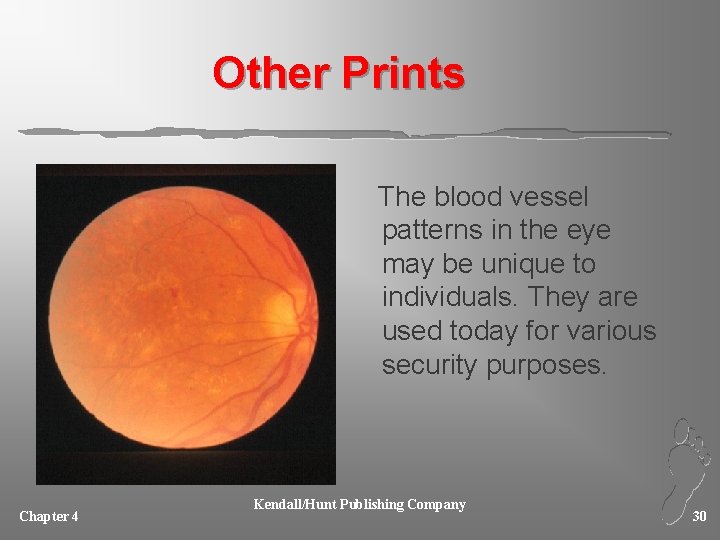 Other Prints The blood vessel patterns in the eye may be unique to individuals.