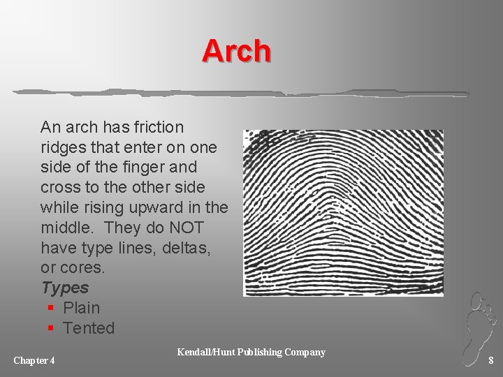 Arch An arch has friction ridges that enter on one side of the finger