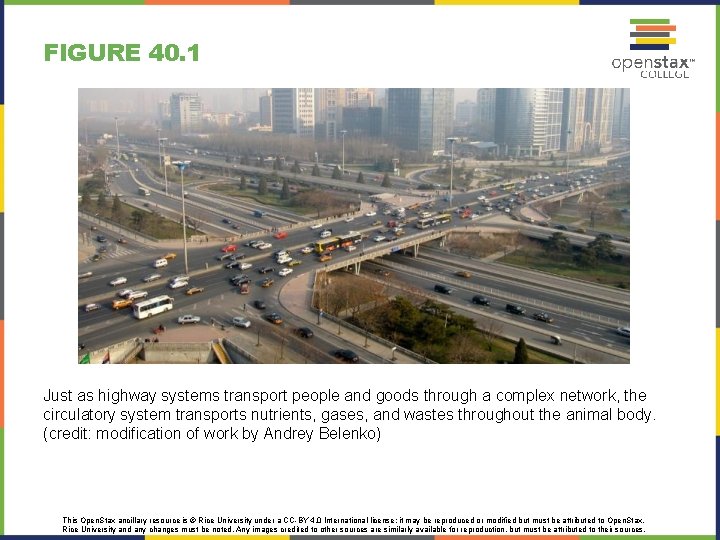 FIGURE 40. 1 Just as highway systems transport people and goods through a complex