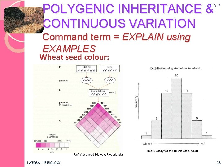 POLYGENIC INHERITANCE & CONTINUOUS VARIATION 10. 3. 2 Command term = EXPLAIN using EXAMPLES