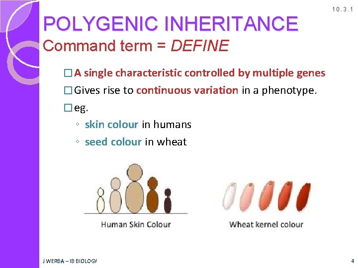 10. 3. 1 POLYGENIC INHERITANCE Command term = DEFINE � A single characteristic controlled