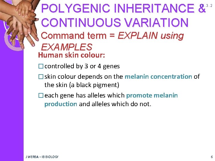 POLYGENIC INHERITANCE & CONTINUOUS VARIATION 10. 3. 2 Command term = EXPLAIN using EXAMPLES