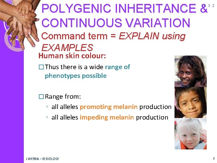 POLYGENIC INHERITANCE & CONTINUOUS VARIATION 10. 3. 2 Command term = EXPLAIN using EXAMPLES