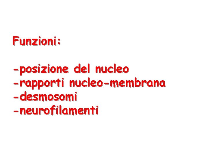 Funzioni: -posizione del nucleo -rapporti nucleo-membrana -desmosomi -neurofilamenti 
