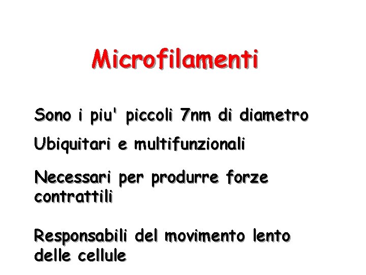 Microfilamenti Sono i piu' piccoli 7 nm di diametro Ubiquitari e multifunzionali Necessari per