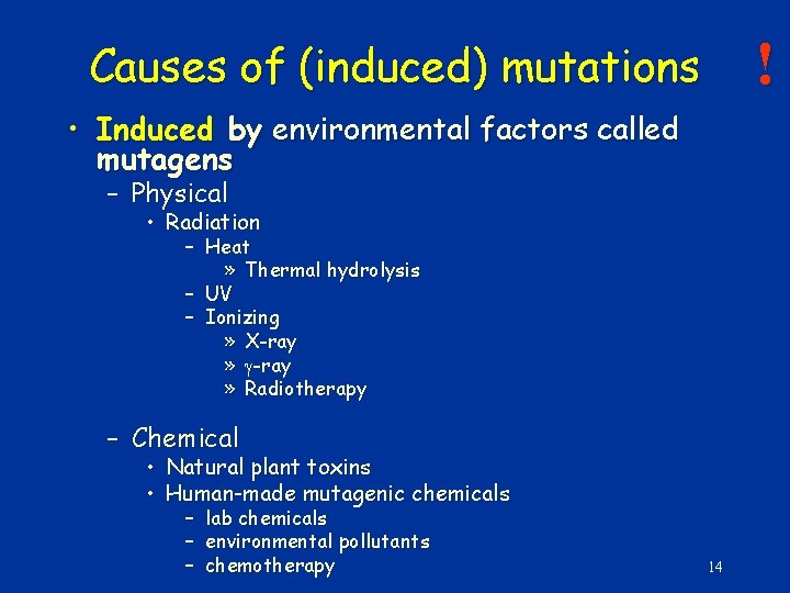 ! Causes of (induced) mutations • Induced by environmental factors called mutagens – Physical