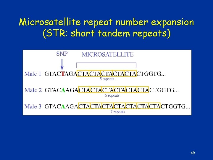 Microsatellite repeat number expansion (STR: short tandem repeats) 49 