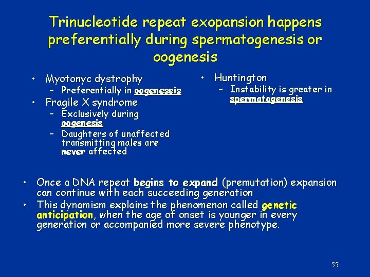 Trinucleotide repeat exopansion happens preferentially during spermatogenesis or oogenesis • Myotonyc dystrophy – Preferentially