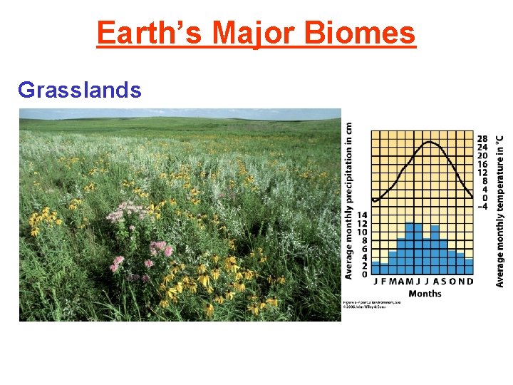 Earth’s Major Biomes Grasslands 