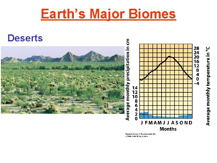 Earth’s Major Biomes Deserts 