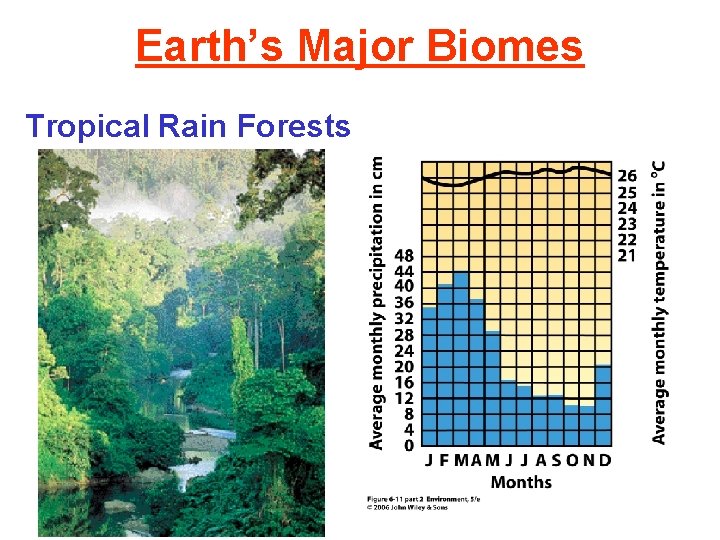 Earth’s Major Biomes Tropical Rain Forests 