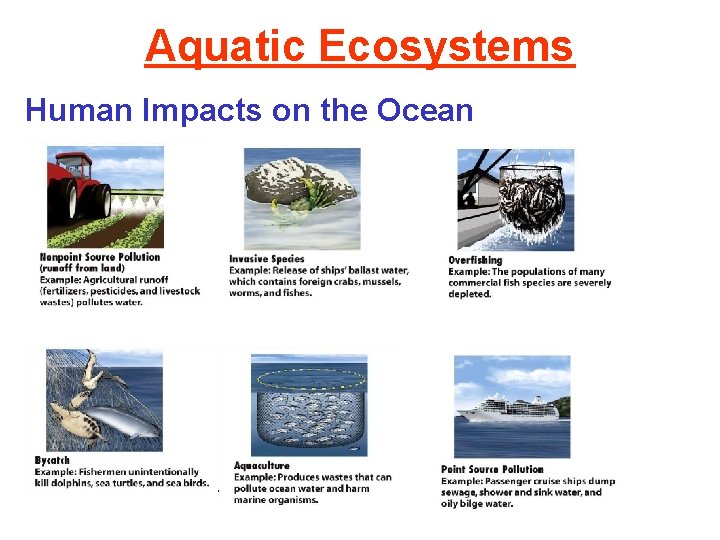 Aquatic Ecosystems Human Impacts on the Ocean 