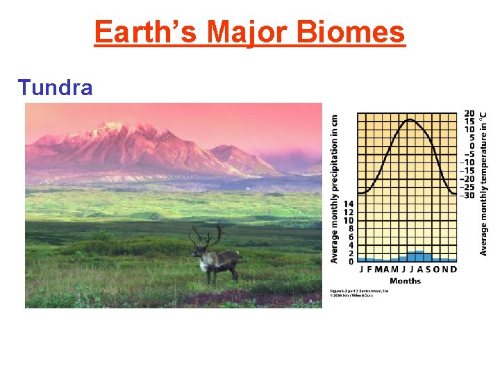 Earth’s Major Biomes Tundra 