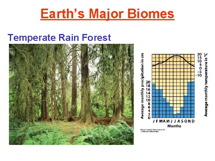 Earth’s Major Biomes Temperate Rain Forest 