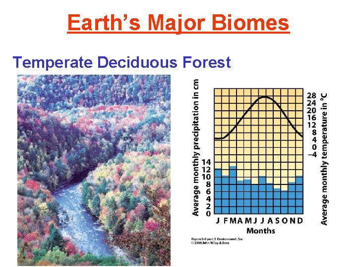 Earth’s Major Biomes Temperate Deciduous Forest 