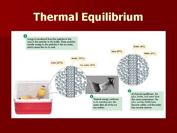 Thermal Equilibrium 