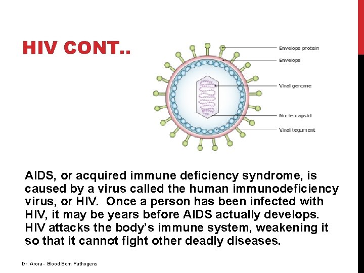 HIV CONT. . AIDS, or acquired immune deficiency syndrome, is caused by a virus