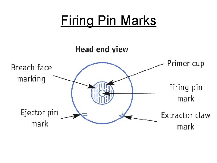 Firing Pin Marks Firing Pin Marks