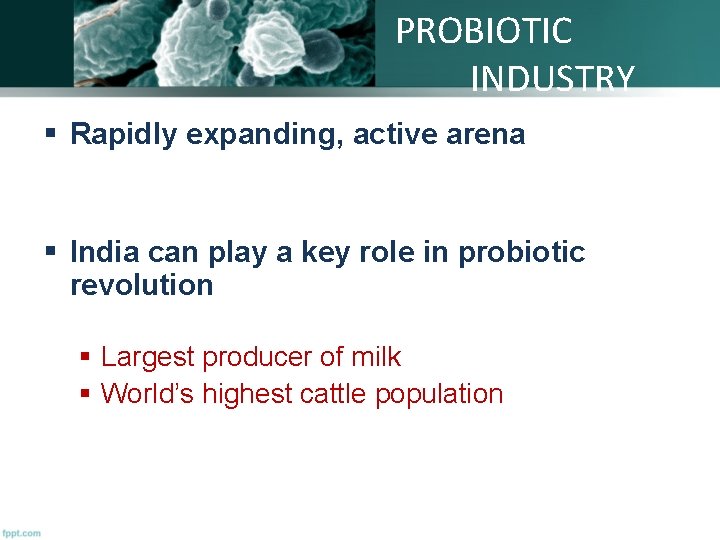 PROBIOTIC INDUSTRY § Rapidly expanding, active arena § India can play a key role